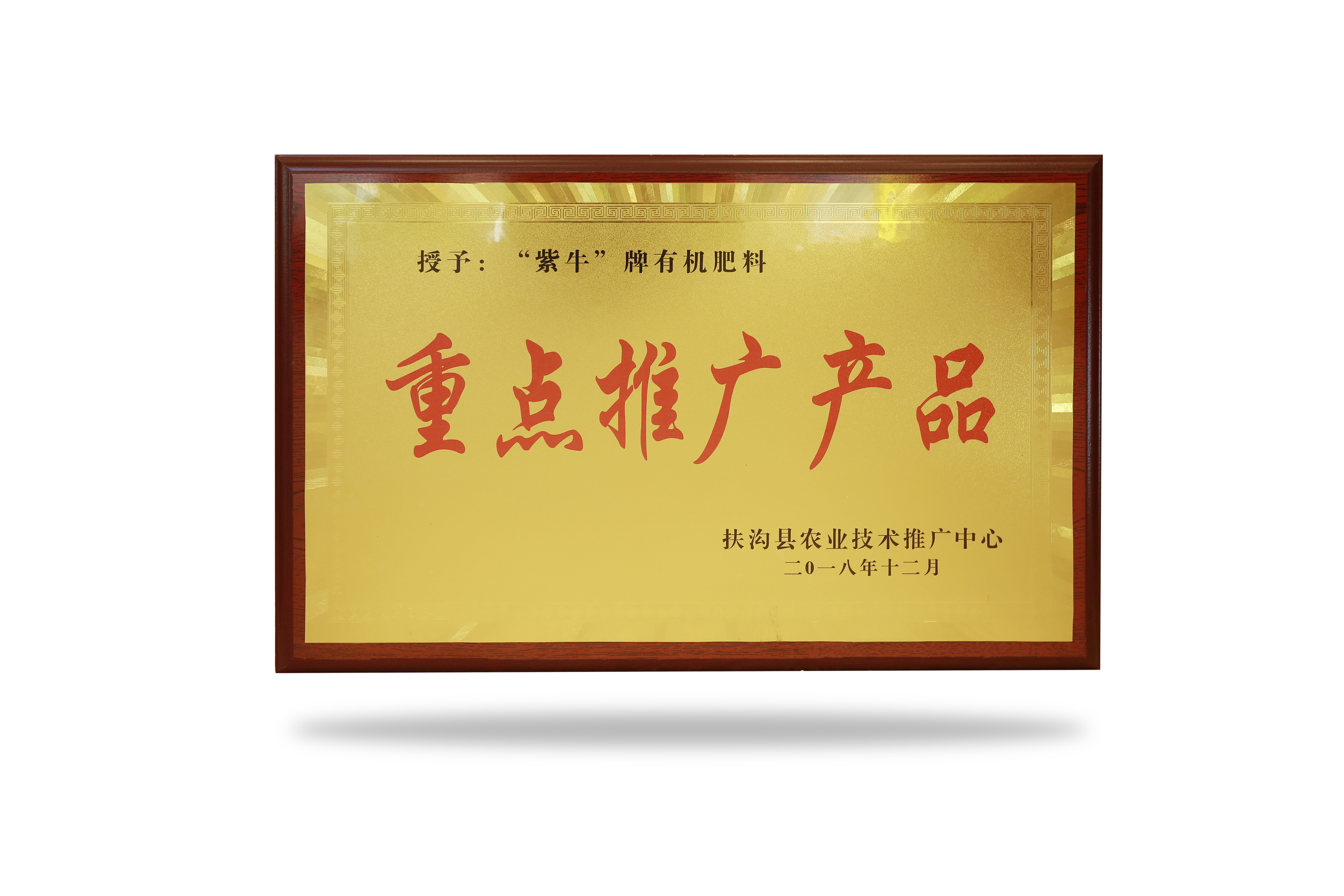 重點(diǎn)推廣產(chǎn)品.